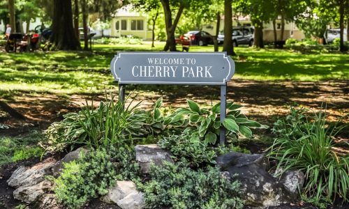 Cherry Park Blog Banner