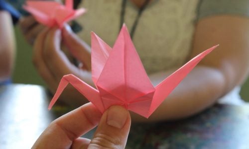 Cranes-scaled