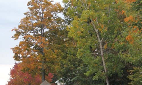 Fall-Colors-scaled