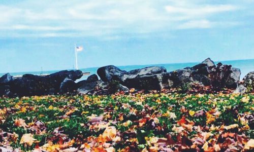 Fall-in-Lakeside-3