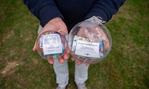 Lakeside Treasure Orb Hunt blog banner