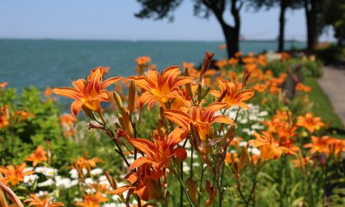 Ohio's Most Beautiful Mile blog banner