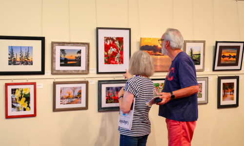 Photography Show blog banner