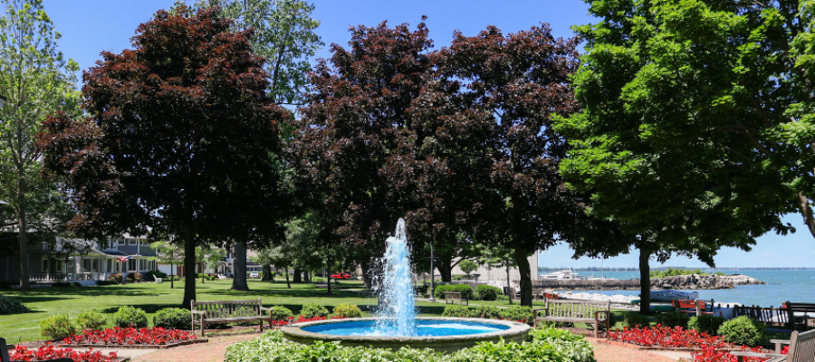 Tree Blog Banner